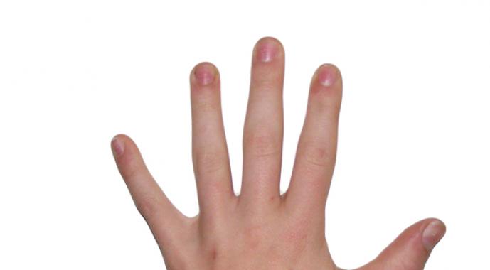 Пристрастия в сексе можно определить по пальцам Узнать характер человека по пальцам