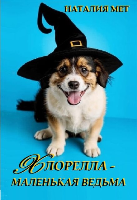 Хлорелла — маленькая ведьма