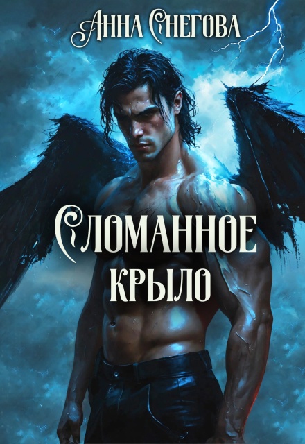 Сломанное крыло
